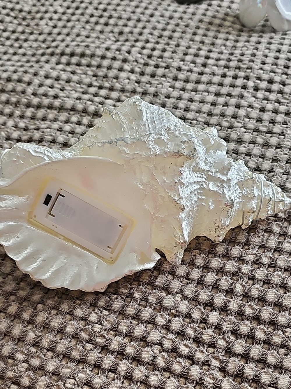 White Decorative Seashell Accent with LED Battery Compartment